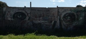 circomassimo